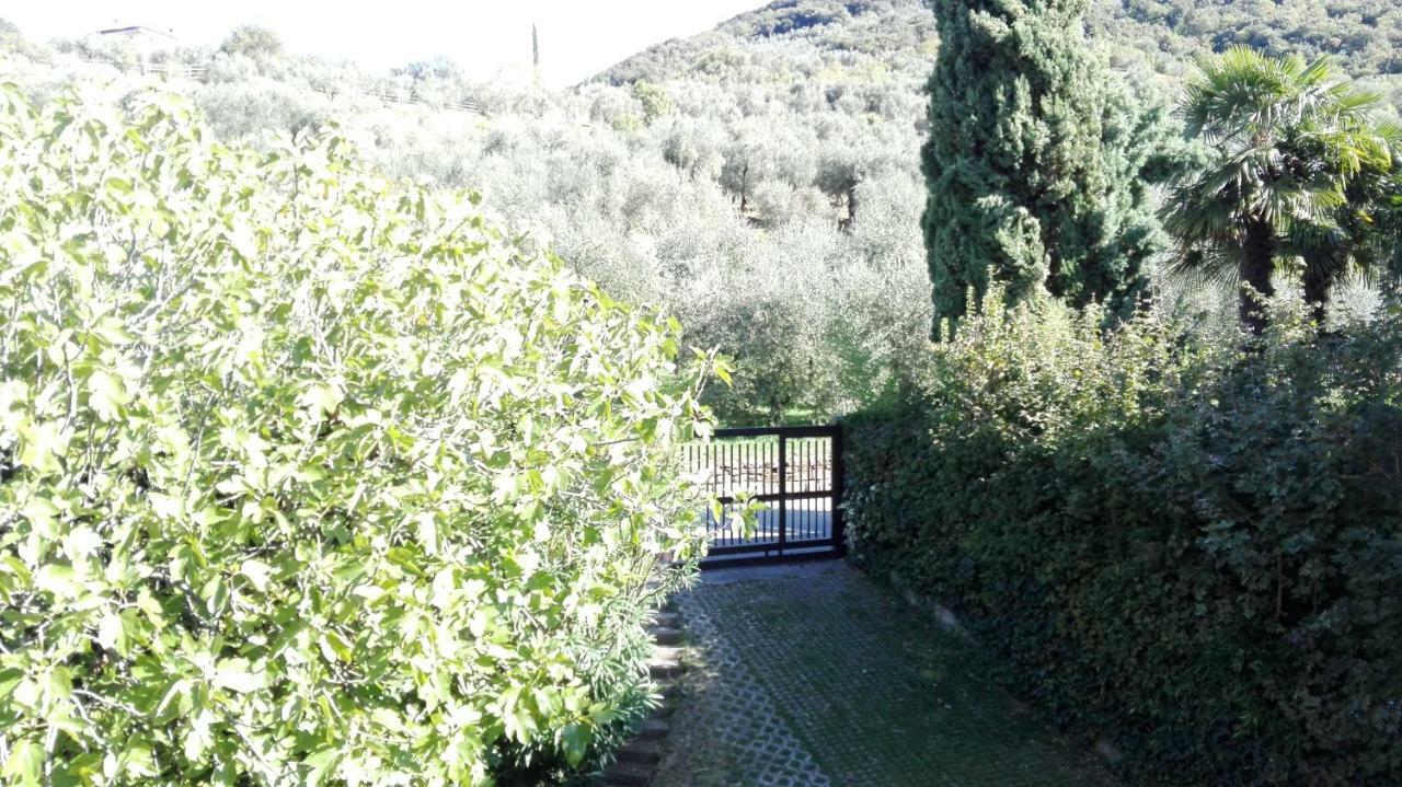 Apartment Terrazza Sugli Ulivi